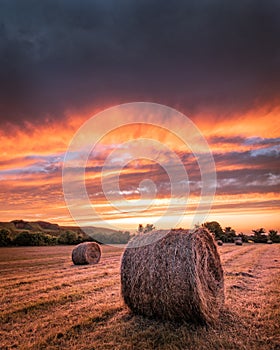 Hay bales in a field at sunset