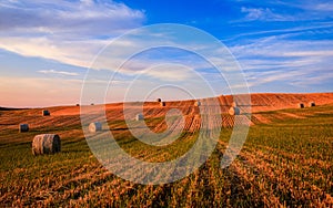 Hay bales on the field at sunset, Tuscany, Italy