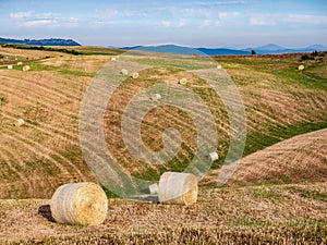 Hay bales on the field at sunset, Tuscany, Italy
