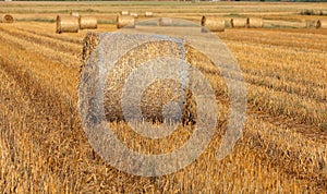 hay bales on filed