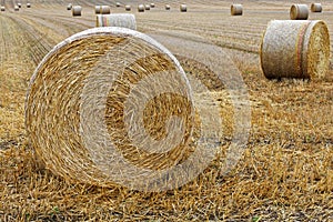 Hay bales in freshly cut large field harvest season landscape