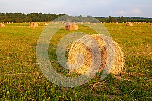 Hay Bales with girl shadow