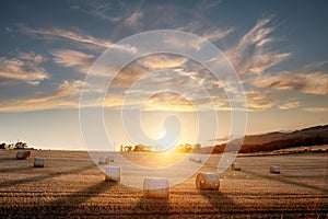 Hay bales in golden field with sunset summer background