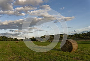 Hay bales in green hertfordshire field