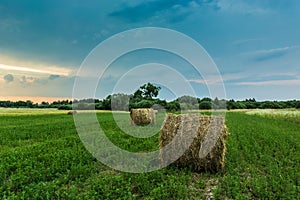 Hay bales in a green meadow at sunrise