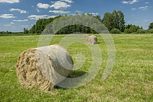 Hay bales on a green meadow, trees on the horizon and white clouds on a blue sky