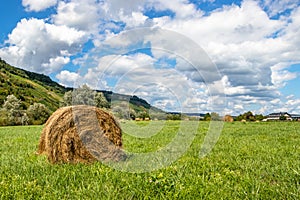 Hay bales on green meadow in Wintrich on the Mosel