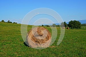 Hay bales on green mowed hayfield in Transylvania, Romania on sunny summer day in Transylvania, Romania