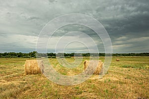 Hay bales on the hayfield and dark clouds on the sky