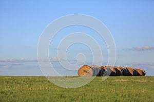 Hay bales