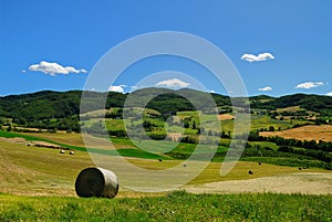 Hay bales in Italian field