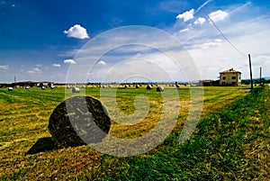 Hay bales in Italian field