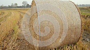 Hay bales in the Lomellina countryside during autumn