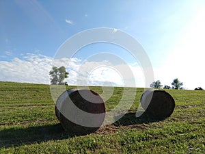 Hay bales on the meadow during autumn.