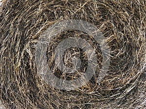 Hay bales on the meadow during autumn.