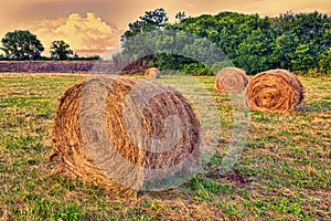 Hay bales in a medow at sunset