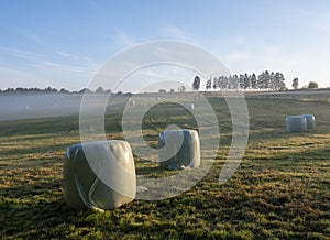 hay bales in misty early morning meadow between vielsalm and sankt vith in belgian ardennes