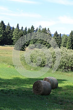 Hay bales in a meadow in mountain