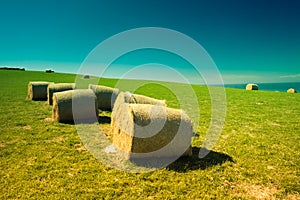 Hay bales in New Zealand