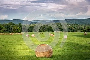 Hay bales in North Georgia Mountains