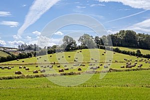 Hay Bales in Northern Ireland Fields