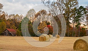 Hay bales and old barn