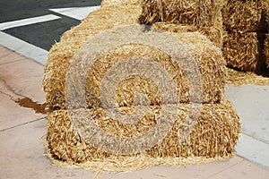 Hay Bales.  Piled stacks of dry straw collected for animal feed. Dry baled hay bales stack. Hay Bales piled up for Seating and