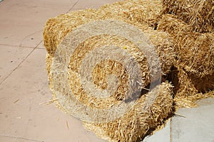 Hay Bales.  Piled stacks of dry straw collected for animal feed. Dry baled hay bales stack. Hay Bales piled up for Seating and