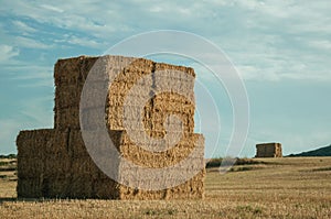 Hay bales piled up on field in a farm