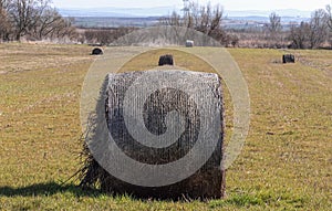 Hay bales on a plain