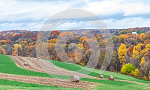 Hay Bales in Rolling Hills of Autumn