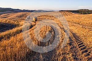 Hay bales and rolling landscape at sunset, Tuscany, Italy