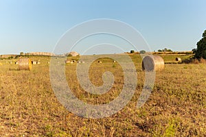 Hay bales rural landscape scene in summer.