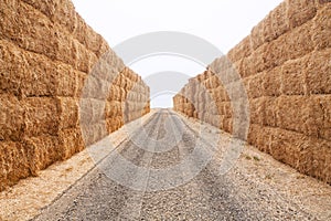 Hay bales stacked high