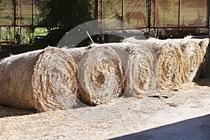 Hay bales are stacked in large stacks on an unknown riding centre