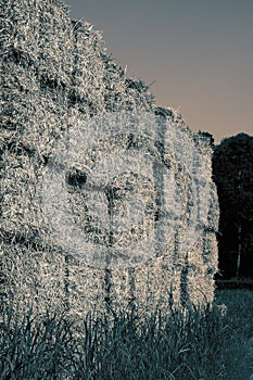 Hay bales stacked on top of each other for animal feed set against sky.