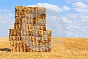 Hay bales stacked up on an empty harvested field