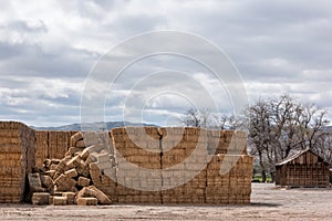 Hay bales