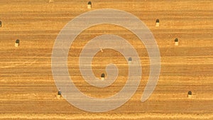 Hay Bales on straw yellow wheat field - top view aerial panorama shot