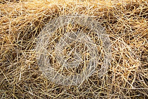 Hay bales in the sunset