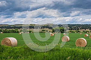 Hay bales under dramatic sky