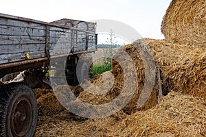 Hay bales unloaded from trailer