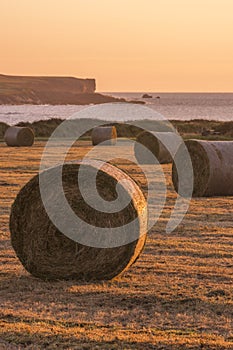 Hay bales on the west coast of Ireland