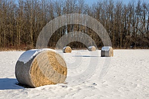 Hay Bales in a Winter Field