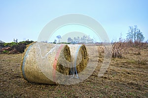 Hay bales, wintertime. Color image