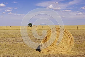 Hay bales in Wyoming USA