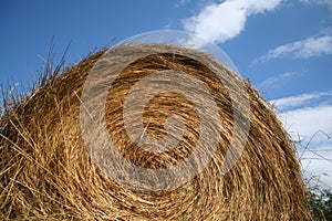 Hay ball on blue sky