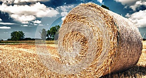 Hay ball in summer season