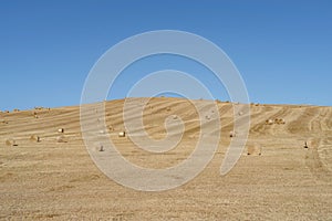 Hay balles in a mown field photo