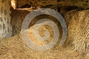 Hay in Barn